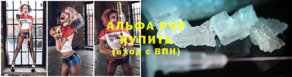 трава Няндома