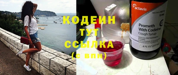 трава Няндома
