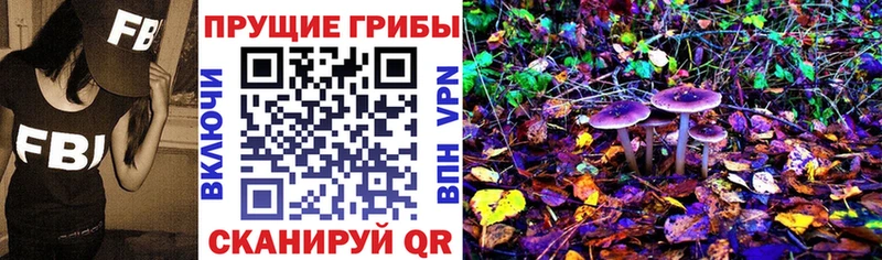 KRAKEN ONION  Райчихинск  Псилоцибиновые грибы ЛСД  цены  